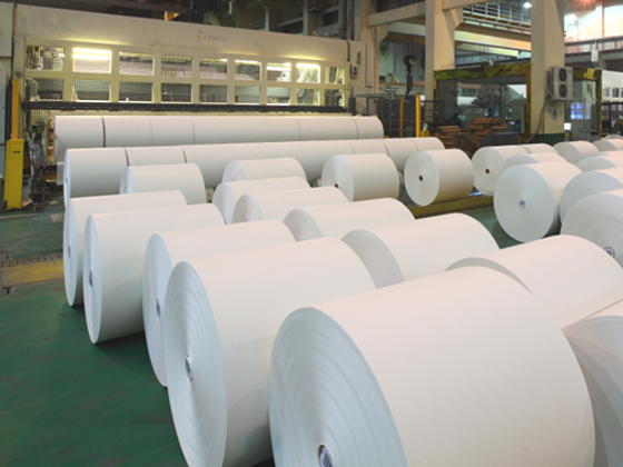 Cultural Paper Series