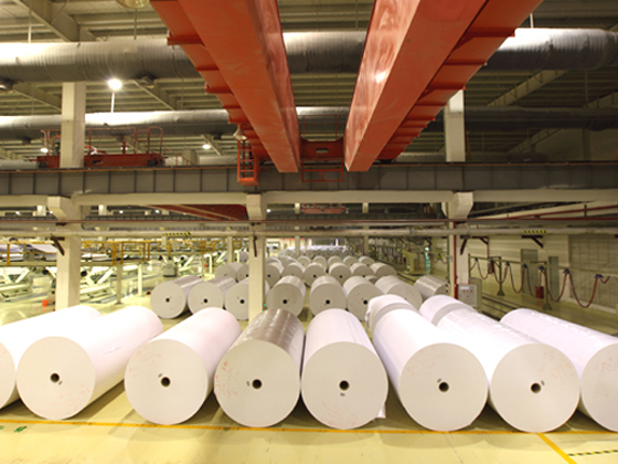 Carbonless Paper Series