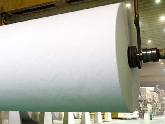 White Card Paper Series - Image 3