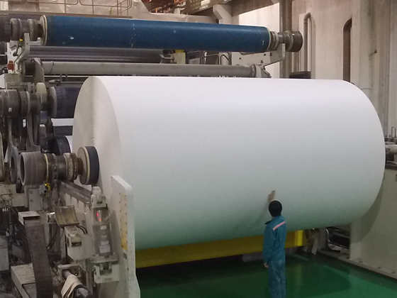 Specialty Paper Series - Image 3