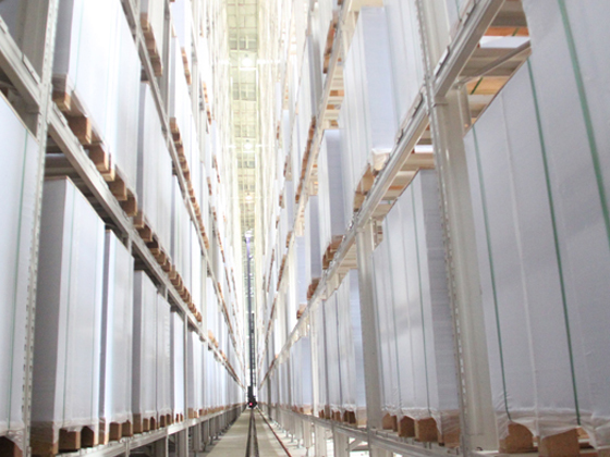 Cultural Paper Series - Image 4