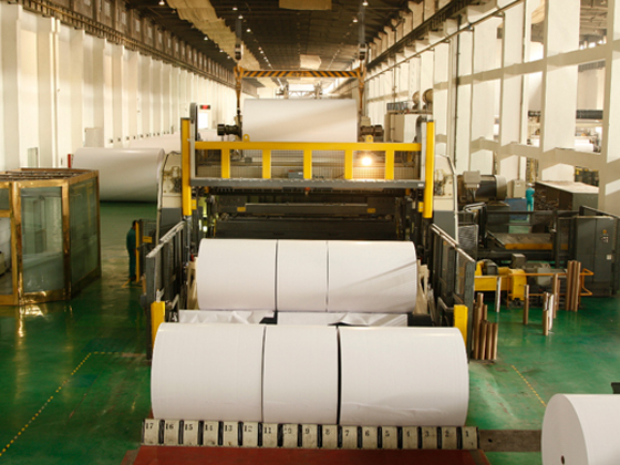 Copperplate Paper Series - Image 4