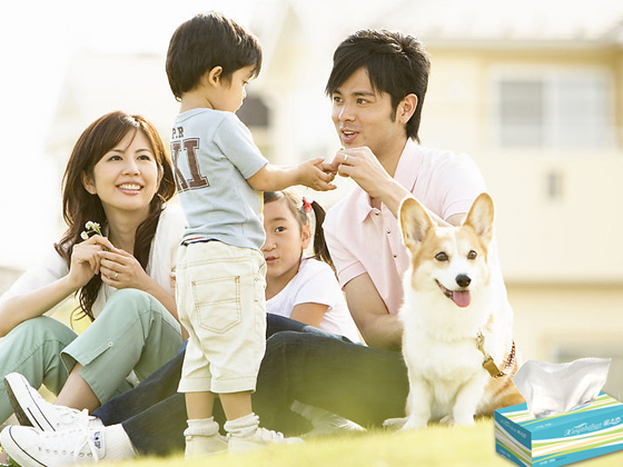 Household Paper Series - Image 4