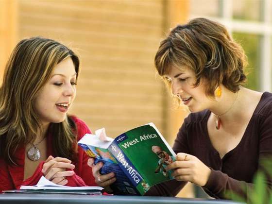 Cultural Paper Series - Image 5